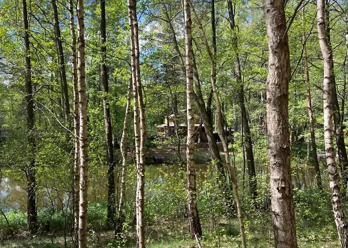 Wsrod Wod Holiday home *