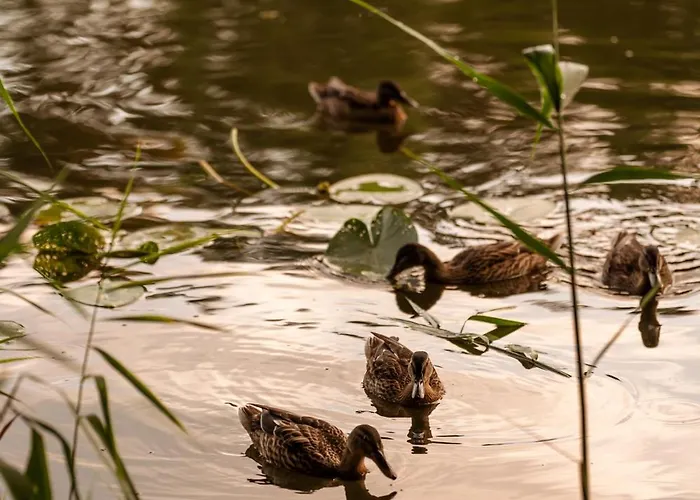 Wsrod Wod Holiday home