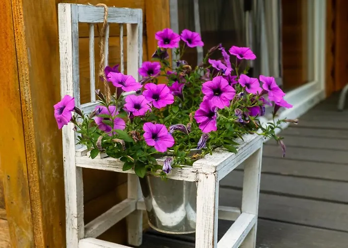 Holiday home Wsrod Wod Plesno